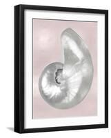 Silver Shell on Pink Blush I-Caroline Kelly-Framed Art Print