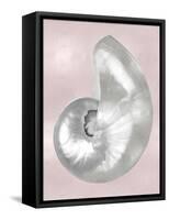 Silver Shell on Pink Blush I-Caroline Kelly-Framed Stretched Canvas