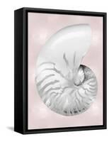 Silver Shell on Pink Blush II-Caroline Kelly-Framed Stretched Canvas