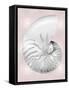 Silver Shell on Pink Blush II-Caroline Kelly-Framed Stretched Canvas