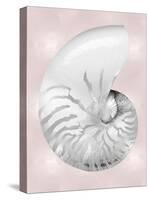 Silver Shell on Pink Blush II-Caroline Kelly-Stretched Canvas