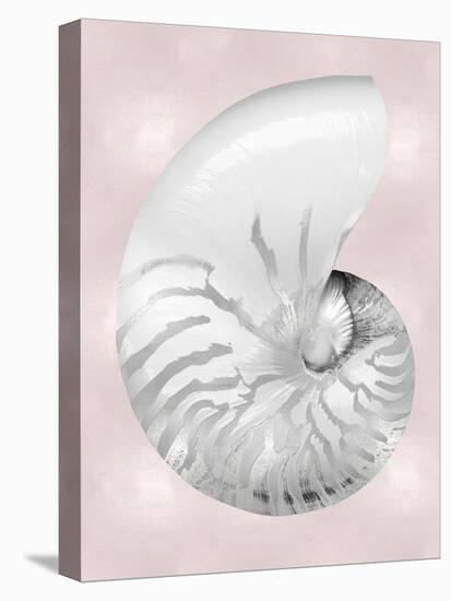 Silver Shell on Pink Blush II-Caroline Kelly-Stretched Canvas