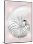 Silver Shell on Pink Blush II-Caroline Kelly-Mounted Art Print