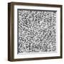 Silver Sparkle Glitter Background of Sequins-Tiplyashin Anatoly-Framed Art Print