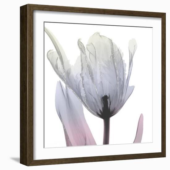 Silver Splash 2-Albert Koetsier-Framed Art Print