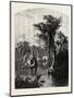 Silver Spring-John Douglas Woodward-Mounted Giclee Print