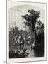 Silver Spring-John Douglas Woodward-Mounted Giclee Print