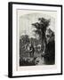 Silver Spring-John Douglas Woodward-Framed Giclee Print