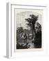 Silver Spring-John Douglas Woodward-Framed Giclee Print