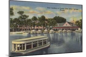 Silver Springs, FL - Waterfront View of Boat Landing-Lantern Press-Mounted Art Print