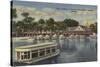 Silver Springs, FL - Waterfront View of Boat Landing-Lantern Press-Stretched Canvas