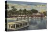 Silver Springs, FL - Waterfront View of Boat Landing-Lantern Press-Stretched Canvas