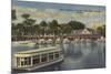 Silver Springs, FL - Waterfront View of Boat Landing-Lantern Press-Mounted Premium Giclee Print