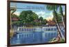 Silver Springs, Florida - View of Electric Glass Bottom Boats-Lantern Press-Framed Art Print