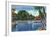 Silver Springs, Florida - View of Electric Glass Bottom Boats-Lantern Press-Framed Art Print