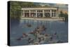 Silver Springs, Florida - View of Riverboat & Fish-Lantern Press-Stretched Canvas