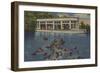 Silver Springs, Florida - View of Riverboat & Fish-Lantern Press-Framed Art Print