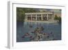 Silver Springs, Florida - View of Riverboat & Fish-Lantern Press-Framed Art Print