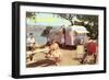 Silver Streak Travel Trailer-null-Framed Art Print