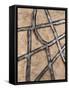 Silver Striations I-Michael Willett-Framed Stretched Canvas