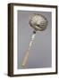 Silver Sugar Dusting Spoon, Embossed with Ivory Handle and Il Vecchio Hallmark, 1819-1838-null-Framed Giclee Print