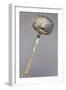 Silver Sugar Dusting Spoon, Embossed with Ivory Handle and Il Vecchio Hallmark, 1819-1838-null-Framed Giclee Print