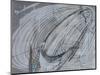 Silver Swirl 2-Enrico Varrasso-Mounted Art Print