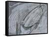 Silver Swirl 2-Enrico Varrasso-Framed Stretched Canvas