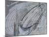 Silver Swirl 2-Enrico Varrasso-Mounted Art Print