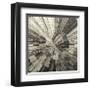 Silver Swirl-Mali Nave-Framed Giclee Print