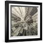 Silver Swirl-Mali Nave-Framed Giclee Print