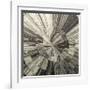 Silver Swirl-Mali Nave-Framed Giclee Print