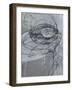 Silver Swirls 1-Enrico Varrasso-Framed Art Print