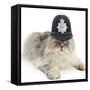 Silver Tabby Chinchilla Persian Male Cat, Cosmos, Wearing a Police Helmet-Mark Taylor-Framed Stretched Canvas