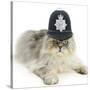 Silver Tabby Chinchilla Persian Male Cat, Cosmos, Wearing a Police Helmet-Mark Taylor-Stretched Canvas