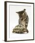 Silver Tabby Kitten Looking at a Hermann's Tortoise Walking-Jane Burton-Framed Photographic Print