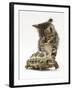 Silver Tabby Kitten Looking at a Hermann's Tortoise Walking-Jane Burton-Framed Photographic Print