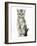 Silver Tabby Kitten Sitting with Paws Up-Mark Taylor-Framed Photographic Print