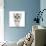 Silver Tabby Kitten with Big Eyes-Mark Taylor-Photographic Print displayed on a wall