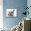 Silver Tabby Kitten with Grey Windmill-Eared Rabbit-Mark Taylor-Mounted Photographic Print displayed on a wall