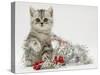 Silver Tabby Kitten with Silver Tinsel and Red Berry Christmas Decoration-Jane Burton-Stretched Canvas