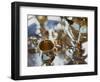 Silver Tea Service-Terry Vine-Framed Photographic Print