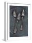 Silver Teaspoons-Den Reader-Framed Photographic Print