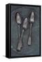 Silver Teaspoons-Den Reader-Framed Stretched Canvas