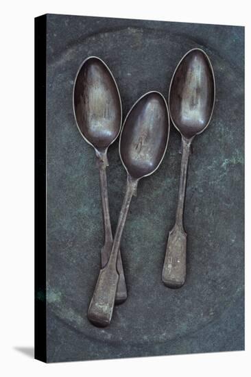 Silver Teaspoons-Den Reader-Stretched Canvas