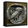 Silver Tetradrachm with Owl-null-Framed Stretched Canvas