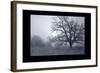 Silver Tone Buffalo River 1-Gordon Semmens-Framed Giclee Print