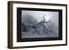 Silver Tone Buffalo River 2-Gordon Semmens-Framed Giclee Print