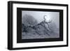 Silver Tone Buffalo River 2-Gordon Semmens-Framed Giclee Print