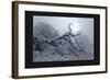 Silver Tone Buffalo River 2-Gordon Semmens-Framed Giclee Print